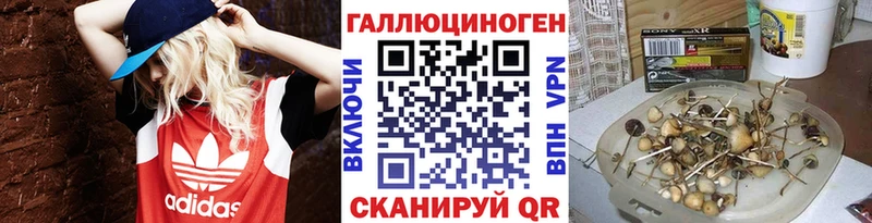 Купить где  Игарка  Галлюциногенные грибы Psilocybe 